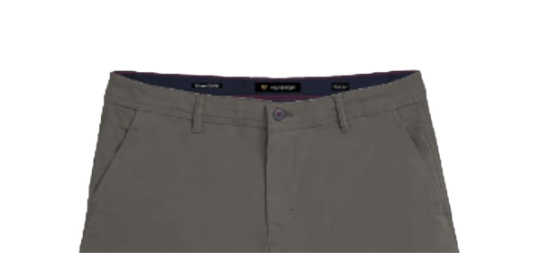 VAN HIPSTER 72249-2 Βερμούδα Βαμβακερή Chinos Regular Fit Γκρί 5